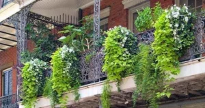 Hanging Planter