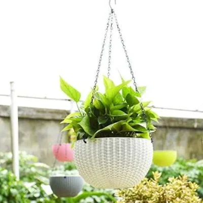 Hanging Planter
