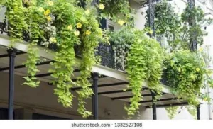Cast Iron Balcony Railing
