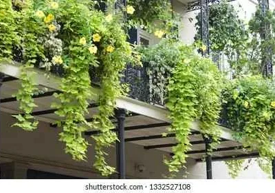 Cast Iron Balcony Railing
