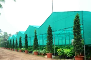 Green Shade Net House