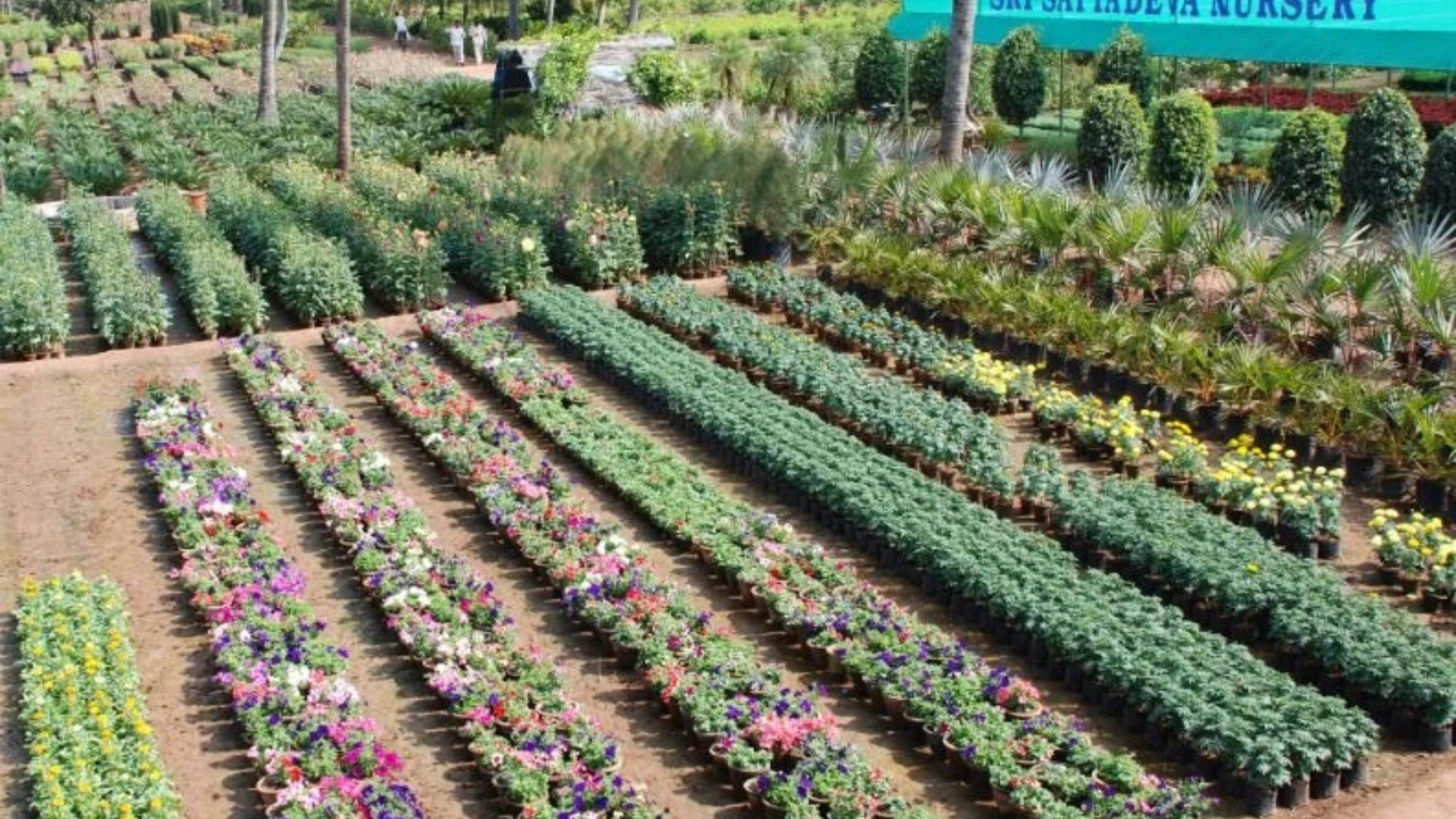 Untitled design (15)