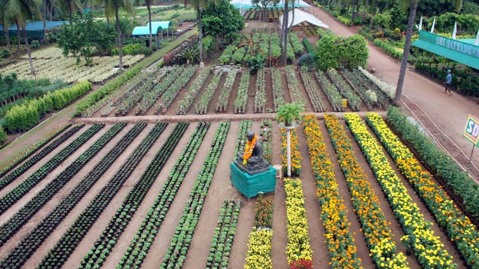 Untitled design (20)